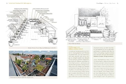 Handbuch Bio-Balkongarten. Gemüse, Obst und Kräuter auf kleiner Fläche ernten - 6