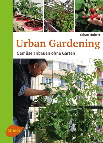 Urban Gardening: Gemüse anbauen ohne Garten